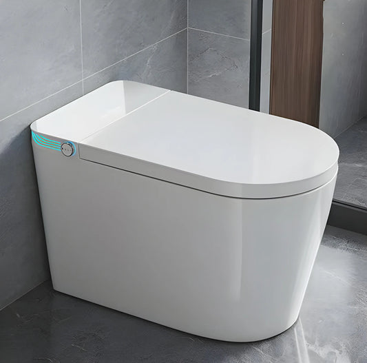 Smart Toilet With Built In Bidet Heated Seat Voice Control Dryer