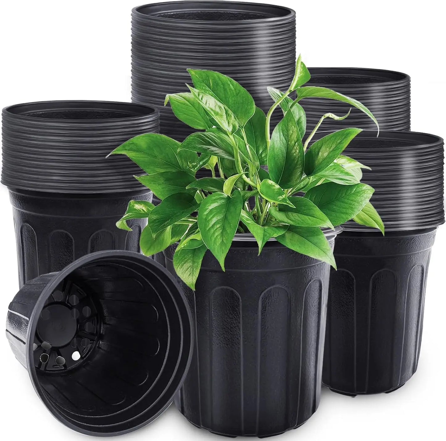 60 Pcs 1 Gallon Plant Nursery Pots with Drainage Holes, Ideal for Planting, Cuttings, and Transplanting in Home Gardens (Black)