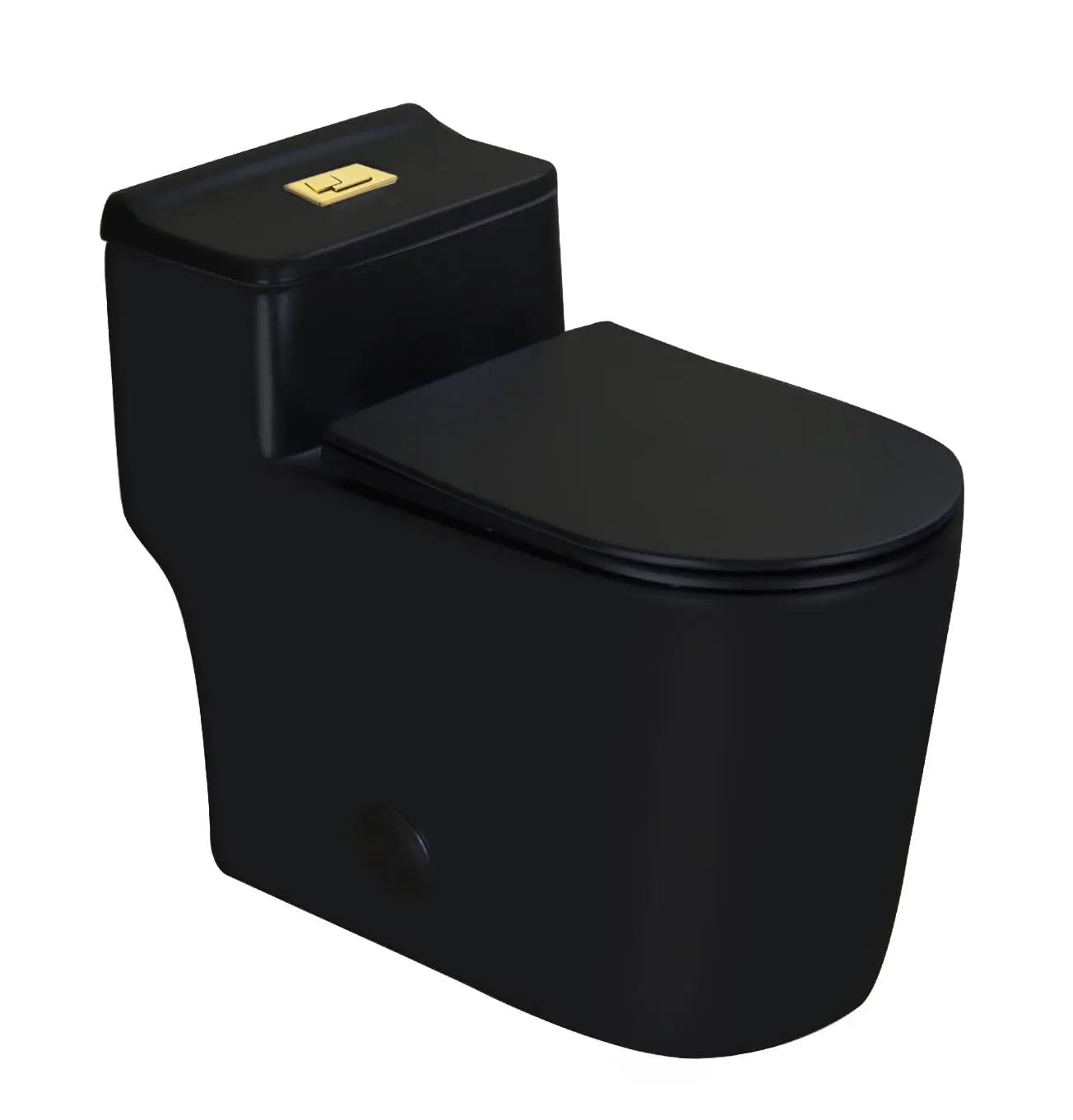 WZ5080B-G Compact One Piece Toilet With Golden Square Dual Flush 1.28 GPF 17.25" Comfortable Elongated Tall Bowl, Customized