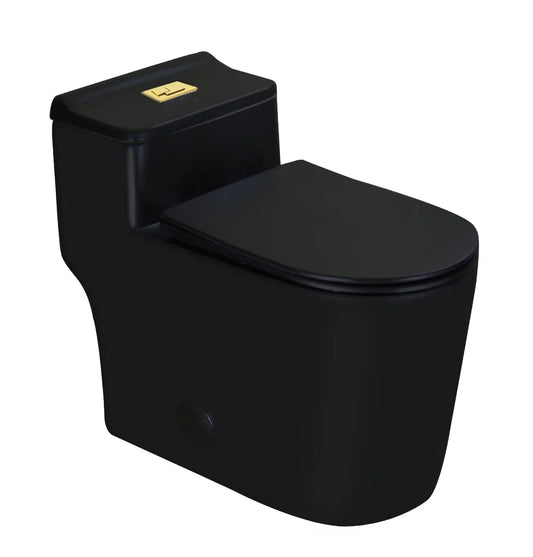 WZ5080B-G Compact One Piece Toilet With Golden Square Dual Flush 1.28 GPF 17.25" Comfortable Elongated Tall Bowl, Customized