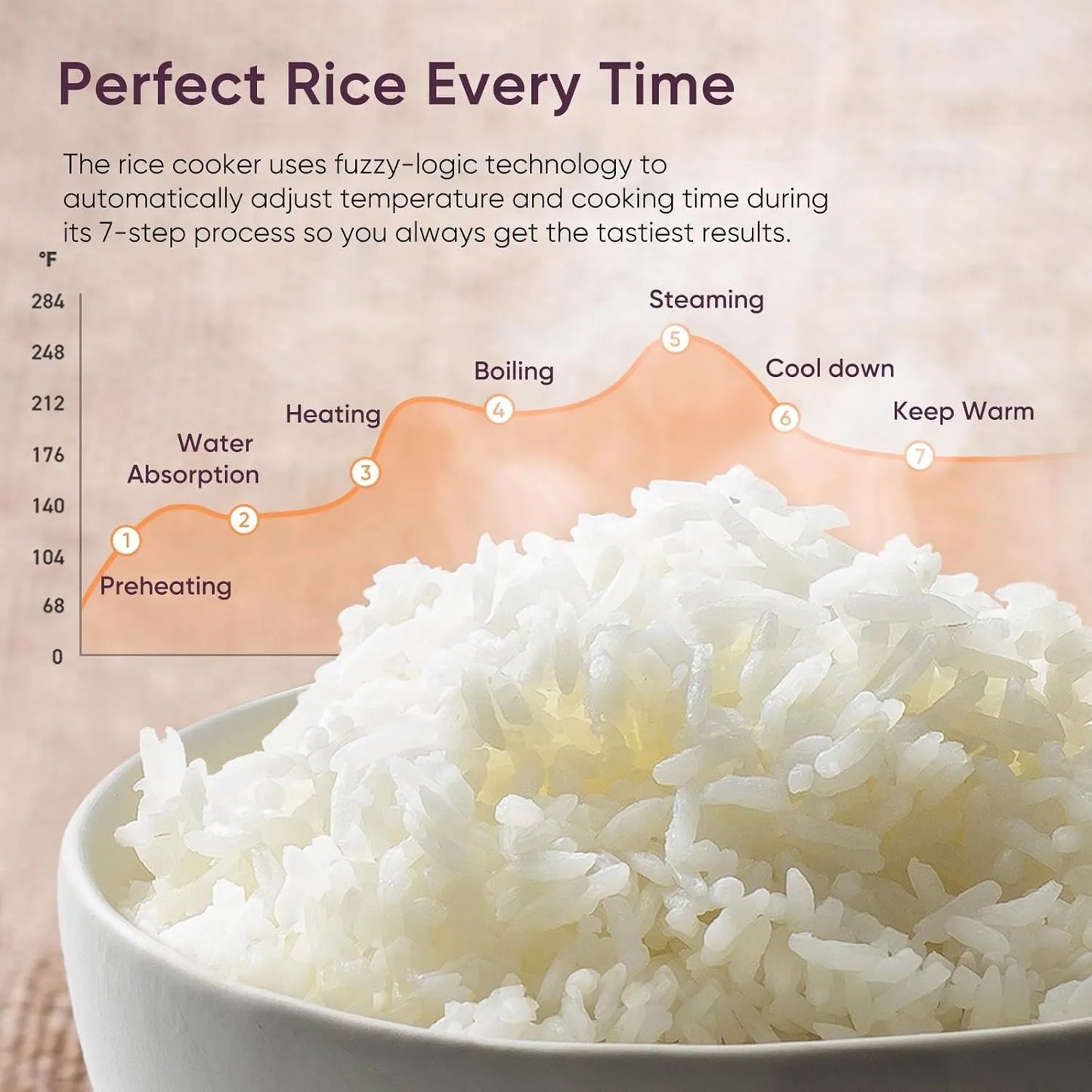 10 Cup Rice Cooker 24H Keep Warm Nonstick Ceramic Pot