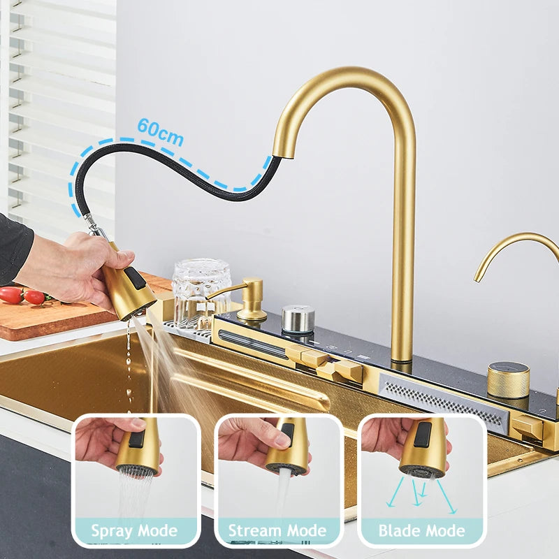 Shinesia Stainless Steel Kitchen Faucet Set With Digital Display