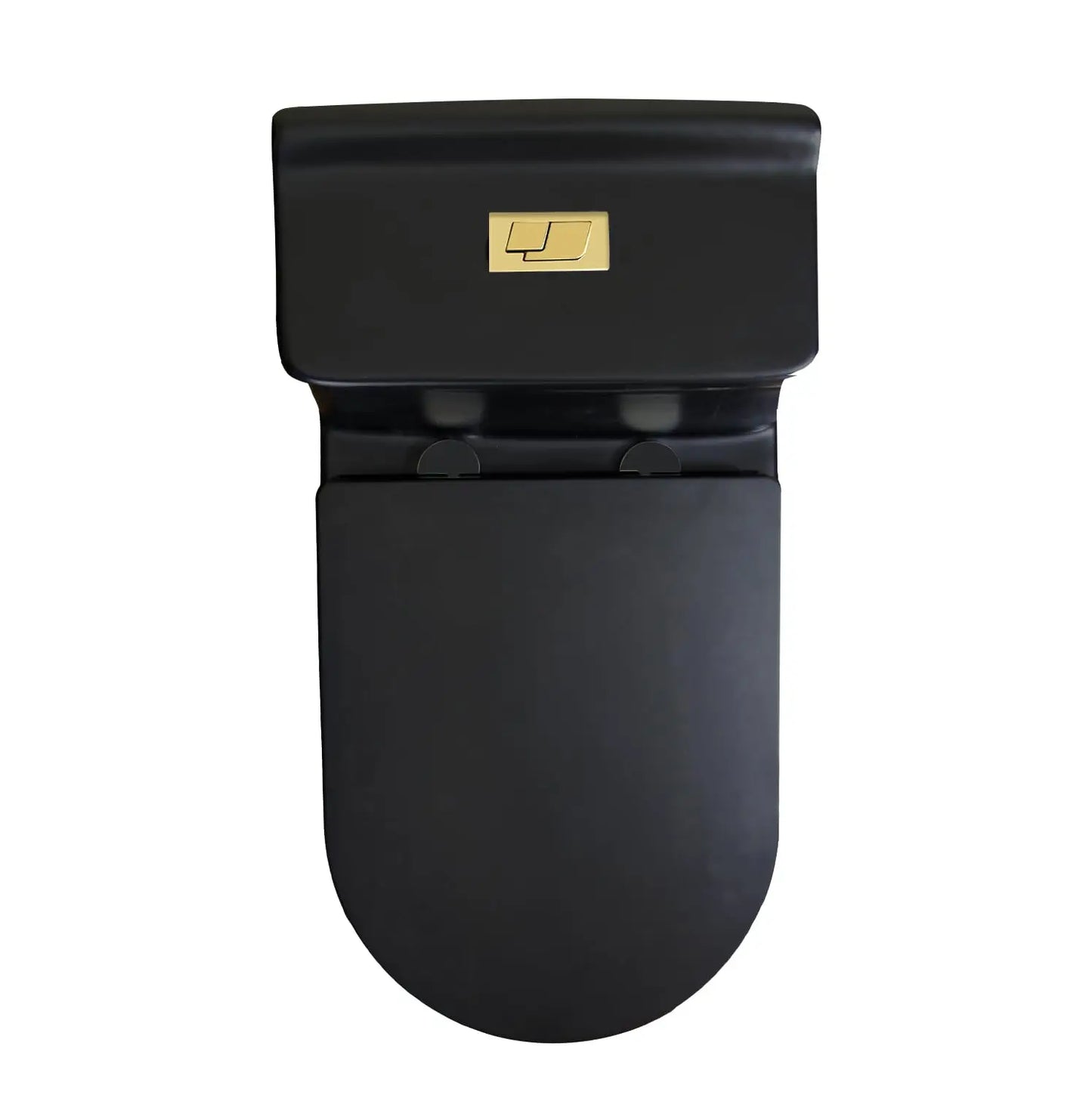 WZ5080B-G Compact One Piece Toilet With Golden Square Dual Flush 1.28 GPF 17.25" Comfortable Elongated Tall Bowl, Customized