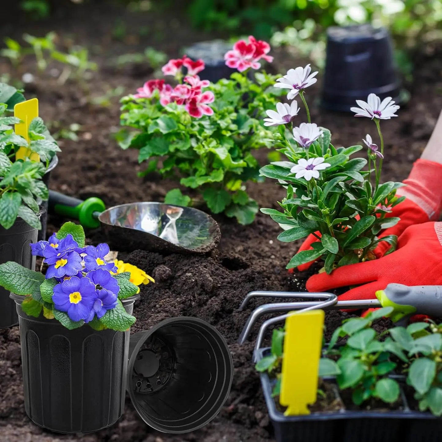 60 Pcs 1 Gallon Plant Nursery Pots with Drainage Holes, Ideal for Planting, Cuttings, and Transplanting in Home Gardens (Black)