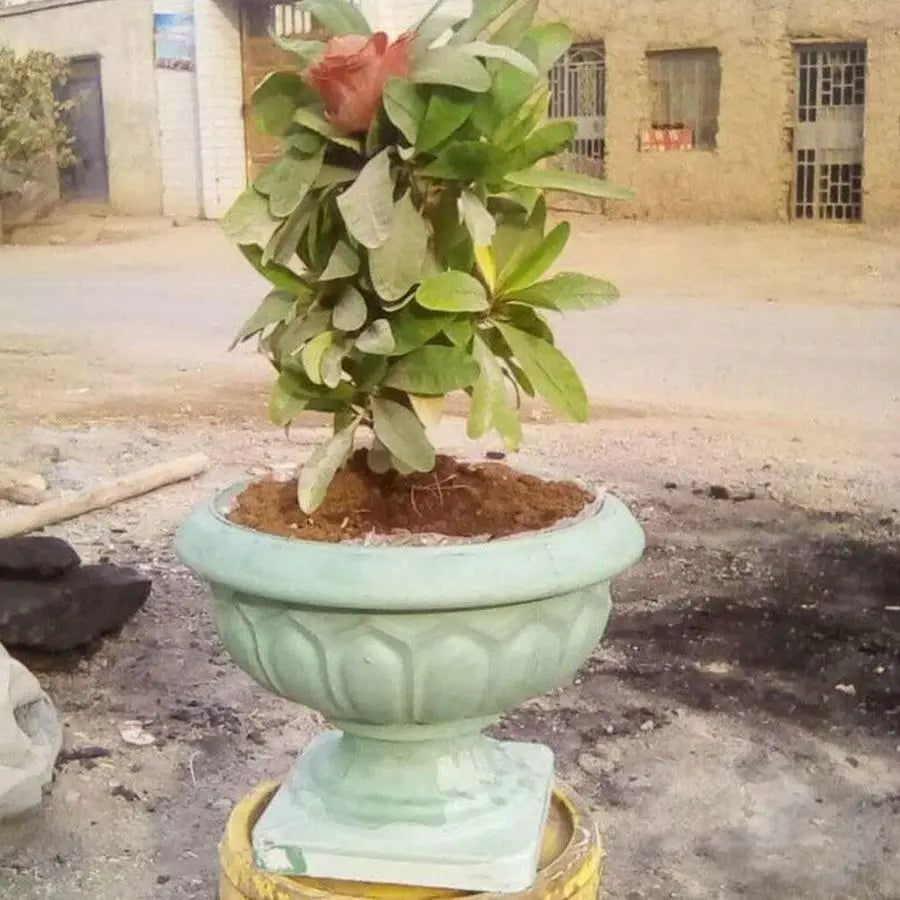 Planter Mold Large Cement Garden Planter Mold Concrete Flower Pot s Succulent Mould Cement Clay s Bonsai Pot for Flower Making